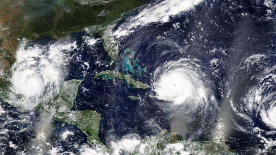 hurricane preparedness for businesses